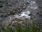 Николай Лещенко фотография #45 (источник - https://vk.com/id248869)