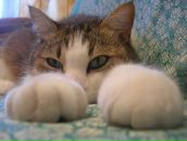 Фотография Тумановой Елены