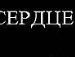 Василина Фабін фотография #25 (источник - https://vk.com/id138203928)
