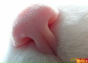 Фотография Степановой Оли