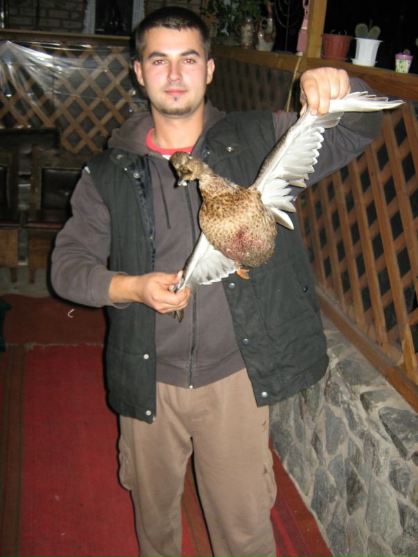 Дима Синенко фотография #44