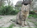 Олександра Сластіон фотография #48 (источник - https://vk.com/id61953926)