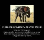 Дмитрий Шанин фотография #35 (источник - https://vk.com/id578933)