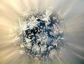 Фотография Шварц Ольги