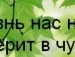 Вікторія Левицька фотография #43 (источник - https://vk.com/id133476728)