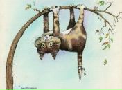 Фотография Каримовой Ксении