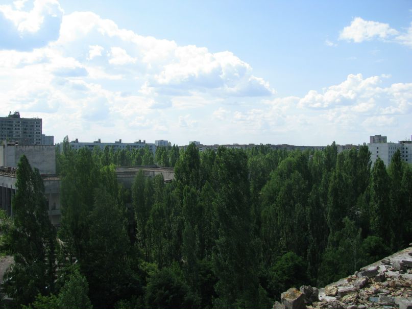 Александр Никитенко фотография #48