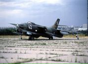 Вітаха Перець фотография #26 (источник - https://vk.com/id21834347)