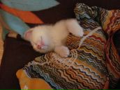 Дмитрий Вдовин фотография #28 (источник - https://vk.com/id636001)