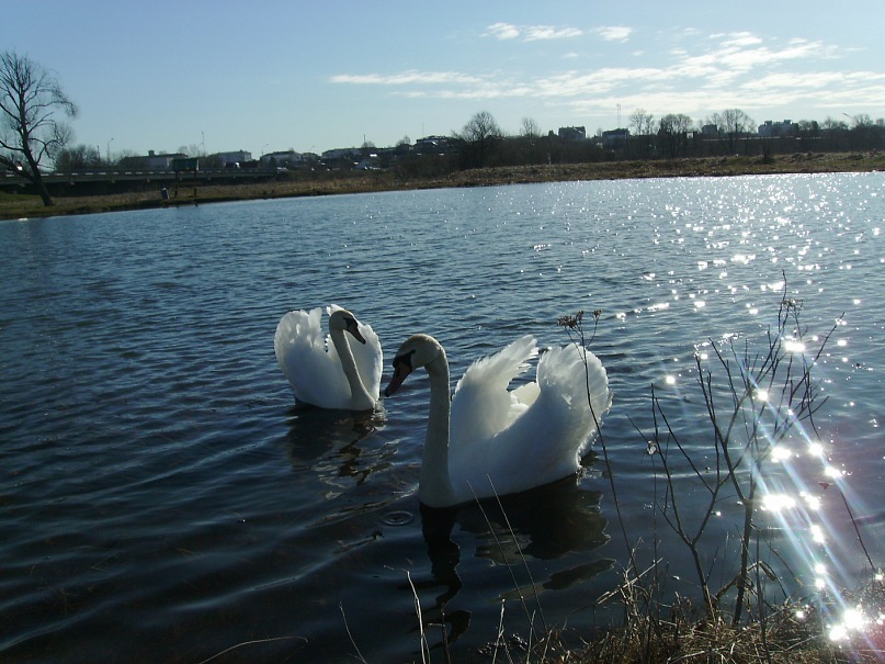 Натали Чепур фотография #4