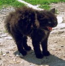 Фотография Лухмановой Дарьи