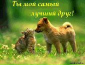 Андрій Михайлишин фотография #25 (источник - https://vk.com/id66854392)