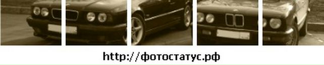 Вадік Гаврилюк фотография #17 (источник - https://vk.com/id132501298)