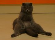 Фотография Подашова Михаила