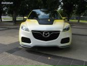 Фотография Ляминой Людмилы