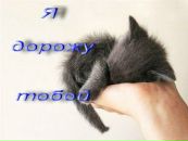 Фотография Богославец Инны