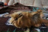 Фотография Халиуллиной Элины