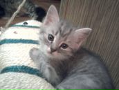 Фотография Забатуриной Арины