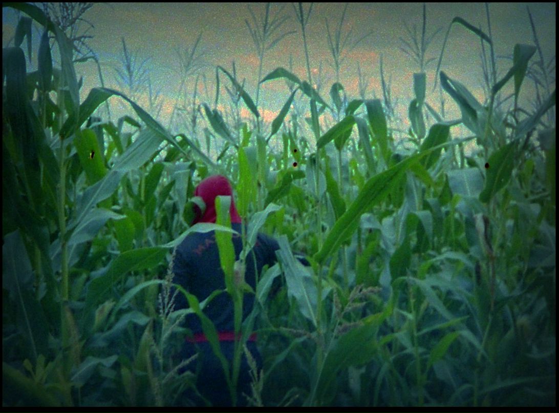 Саша Тарасенко фотография #10