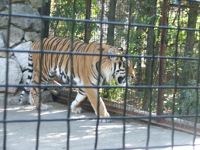 Инна Евсюкова фотография #39