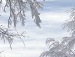 Моріка Фізер фотография #32 (источник - https://vk.com/id130823881)