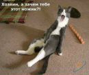 Лілія Прус фотография #45 (источник - https://vk.com/id260578696)