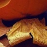 Євгений Беляк фотография #42 (источник - https://vk.com/id145605296)