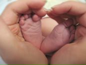 Фотография Ананьевой Екатерины