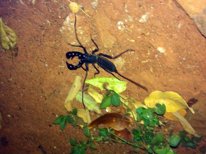 Дмитрий Нестеров фотография #24