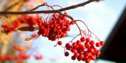 Фотография Назаровой Натальи