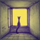 Фотография Medragon Konstantin