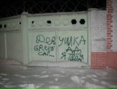 Фотография Толмачевой Анастасии