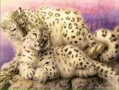 Фотография Сергеевой Анны