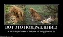 Дмитрий Лашко фотография #47 (источник - https://vk.com/id5400693)