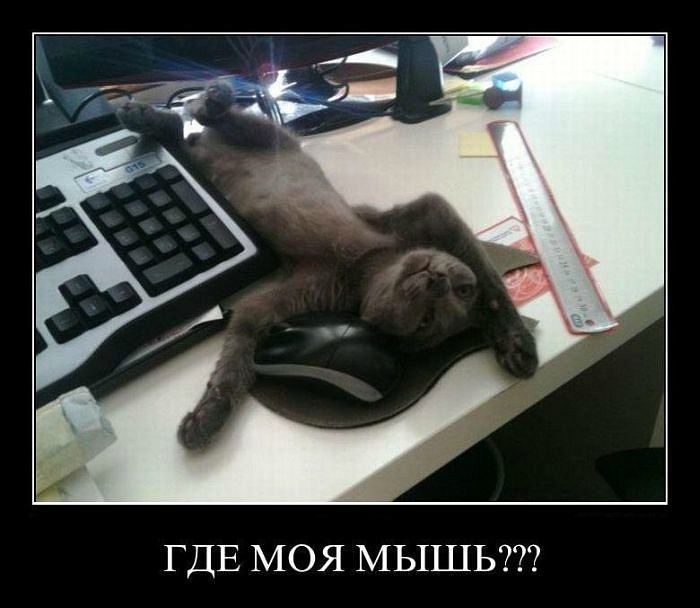 Денис Волков фотография #23