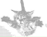 Рустам Садыков фотография #48 (источник - https://vk.com/id3060273)