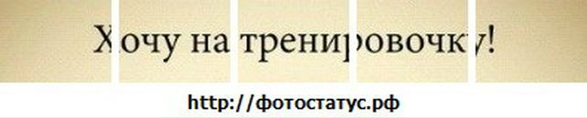 Саша Олексієнко фотография #21 (источник - https://vk.com/id105534689)