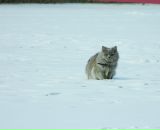 Олеся Малинка фотография #47 (источник - https://vk.com/id18155395)