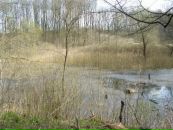 Віталій Дубiлей фотография #47 (источник - https://vk.com/id62361714)