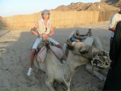 Фотография Lytov Albert