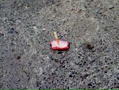 Андрій Миколайович фотография #17 (источник - https://vk.com/id5882941)