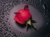 Юлічка Куциняк фотография #7 (источник - https://vk.com/id67143749)