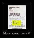 Олег Цебрій фотография #33 (источник - https://vk.com/id12879670)