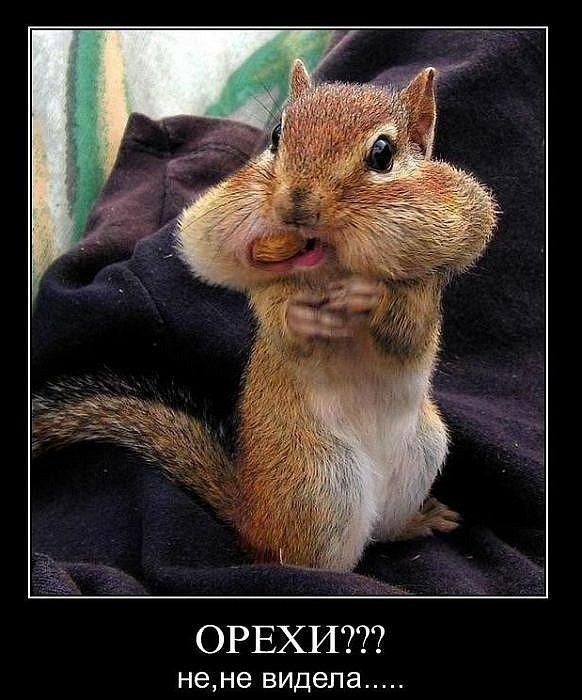 Иван Хулиган фотография #19