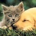 Івануся Амборська фотография #19 (источник - https://vk.com/id140370360)