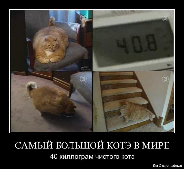 Илья Стафеев фотография #19