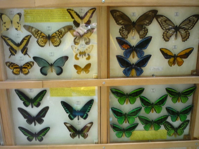 Катерина Латнер фотография #9