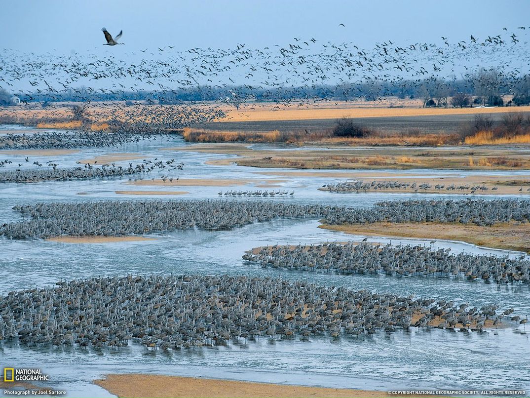 Амина Лазба фотография #50