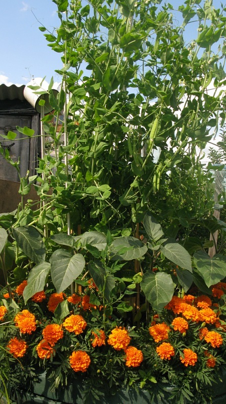 Катерина Старченко фотография #31