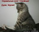 Фотография Пимоновой Кристины